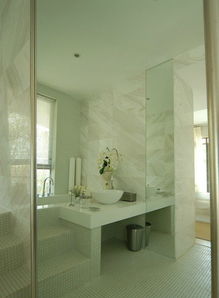 時尚現代簡約衛生間臺階隔斷設計